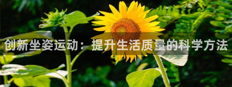 风速体育nba直播
