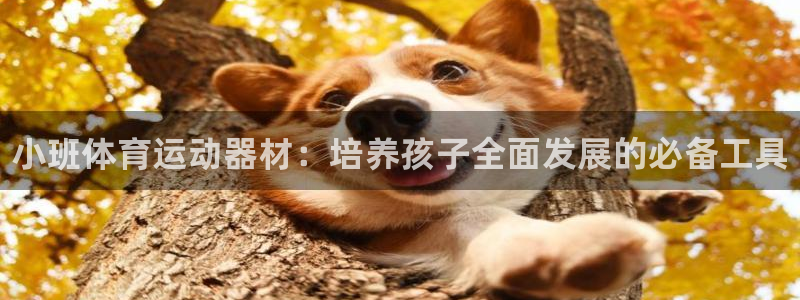 风速体育app下载官网最新版