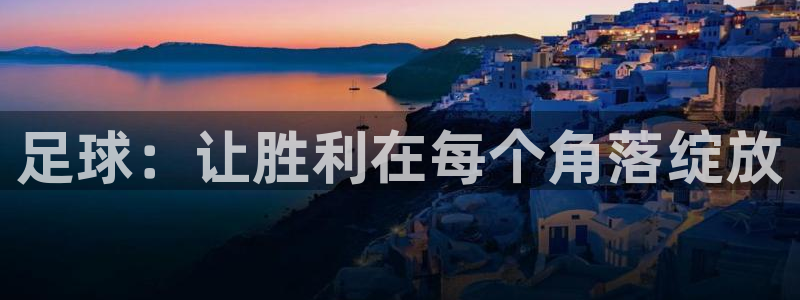 风速体育