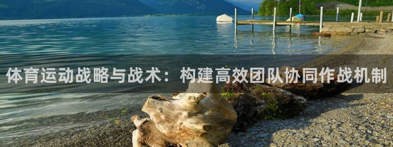 风速体育
