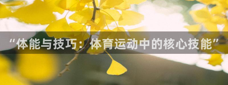 风速体育cba直播