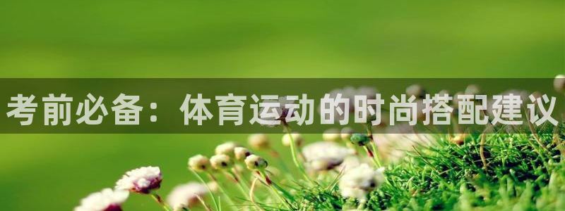 风速体育