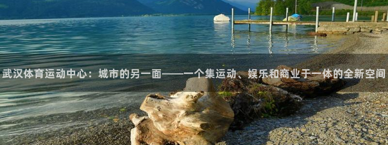 风速体育直播