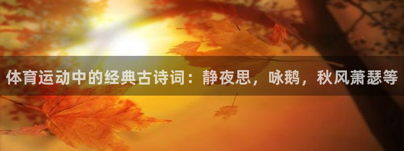 风速体育下载