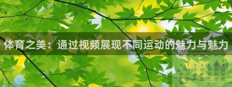 风速体育
