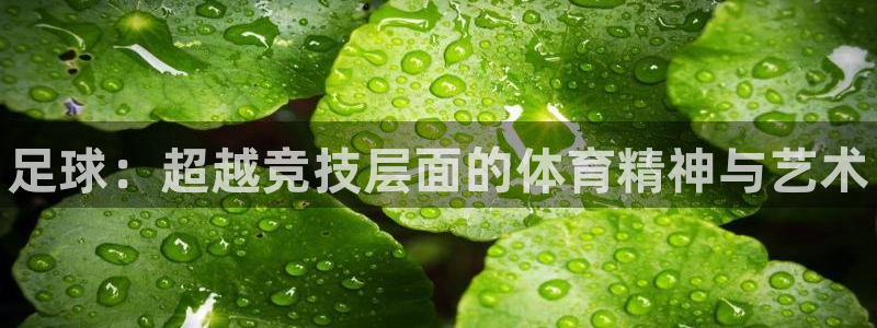 风速体育直播