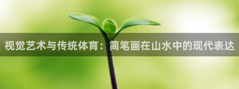 风速体育cba直播