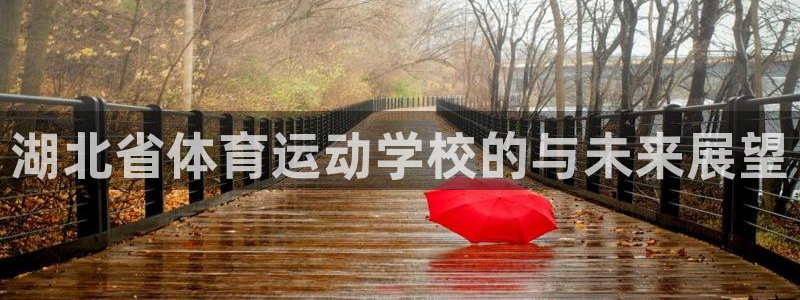 风速体育app下载官网最新版
