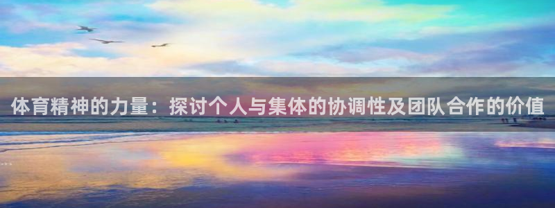 风速体育cba直播