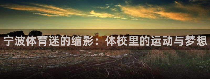 下载风速体育