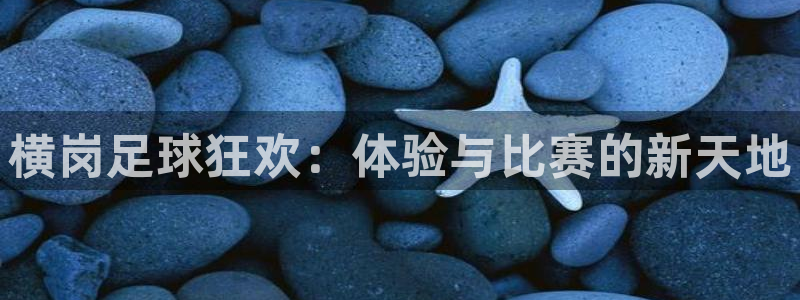 风速体育app