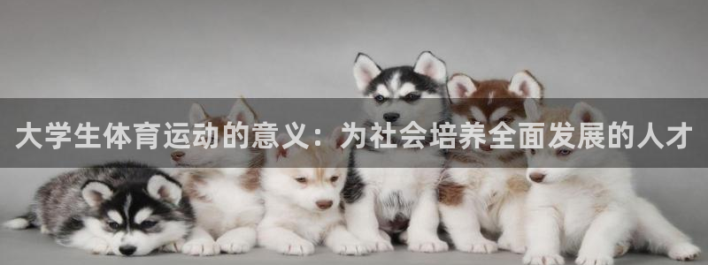 风速体育下载