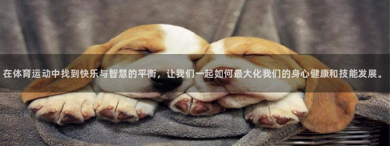 风速体育app官方下载