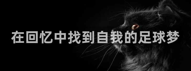 风速体育直播app