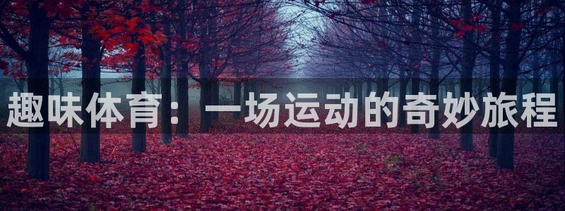 风速体育