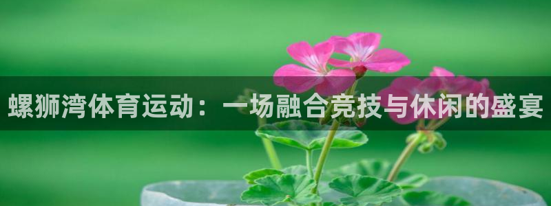 风速体育app下载安装最新版本