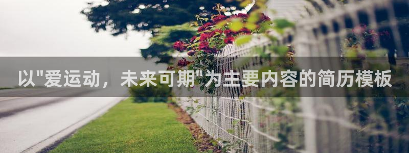风速体育官网