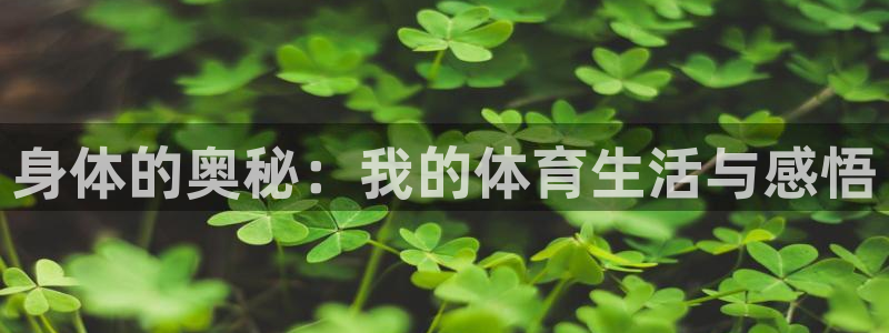 风速体育app