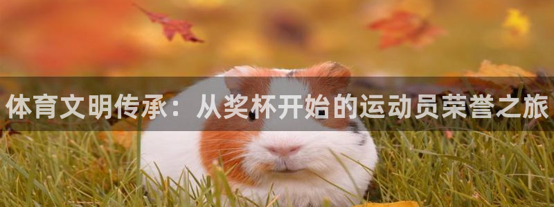 风速体育