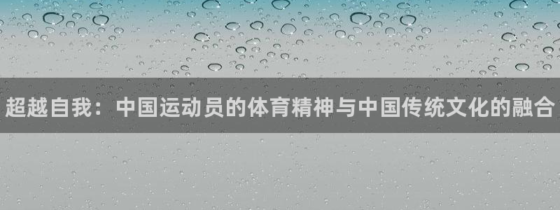 风速体育官网