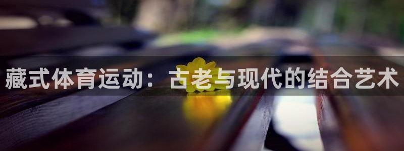 风速体育app下载安装最新版本