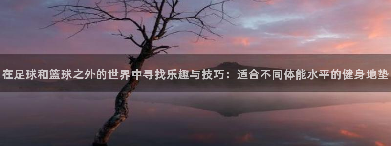风速体育app官方下载