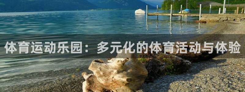 风速体育app下载官网最新版