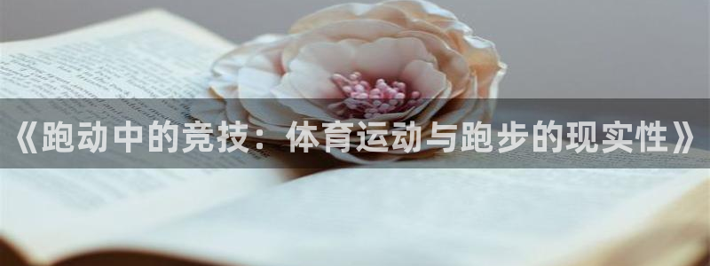 风速体育