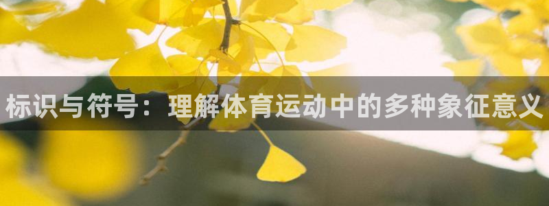 风速体育