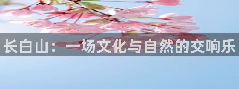 风速体育直播