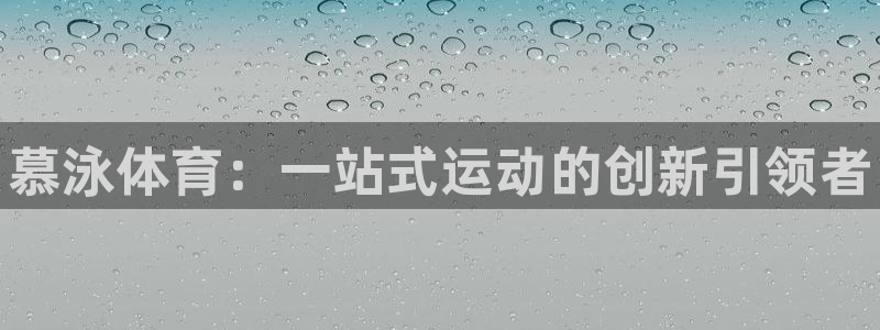 风速体育官网