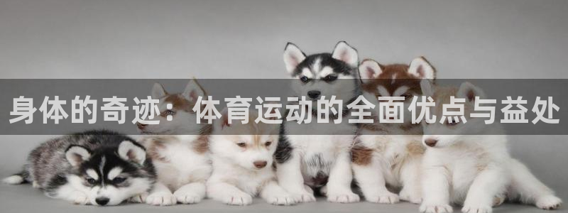 风速体育下载