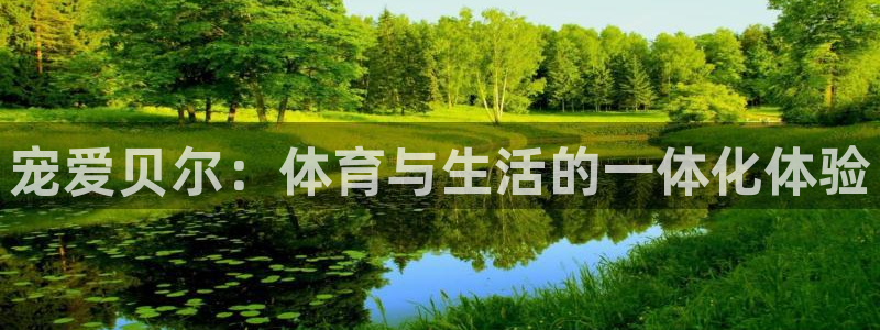 风速体育